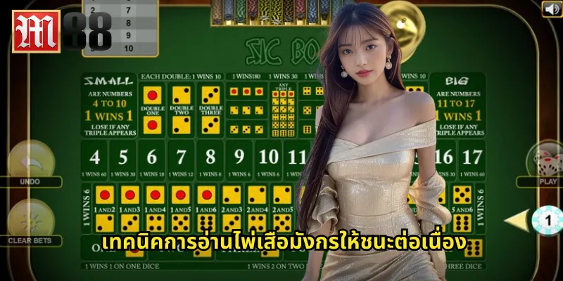 เทคนิคการอ่านไพ่เสือมังกรให้ชนะต่อเนื่อง